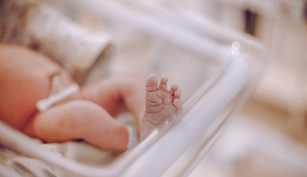 宇都宮市・産後ケア【訪問型】では何をしているの？